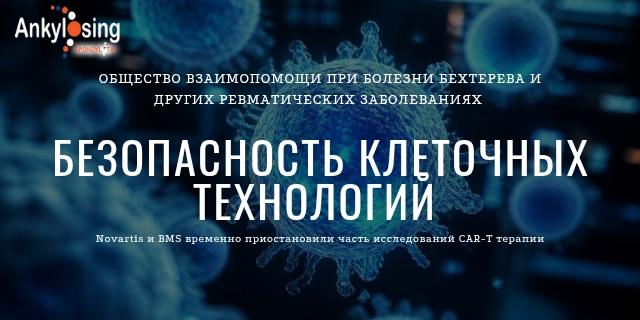 02.09.2026 Безопасность клеточных технологий: Novartis и BMS временно приостановили часть исследований CAR-T терапии